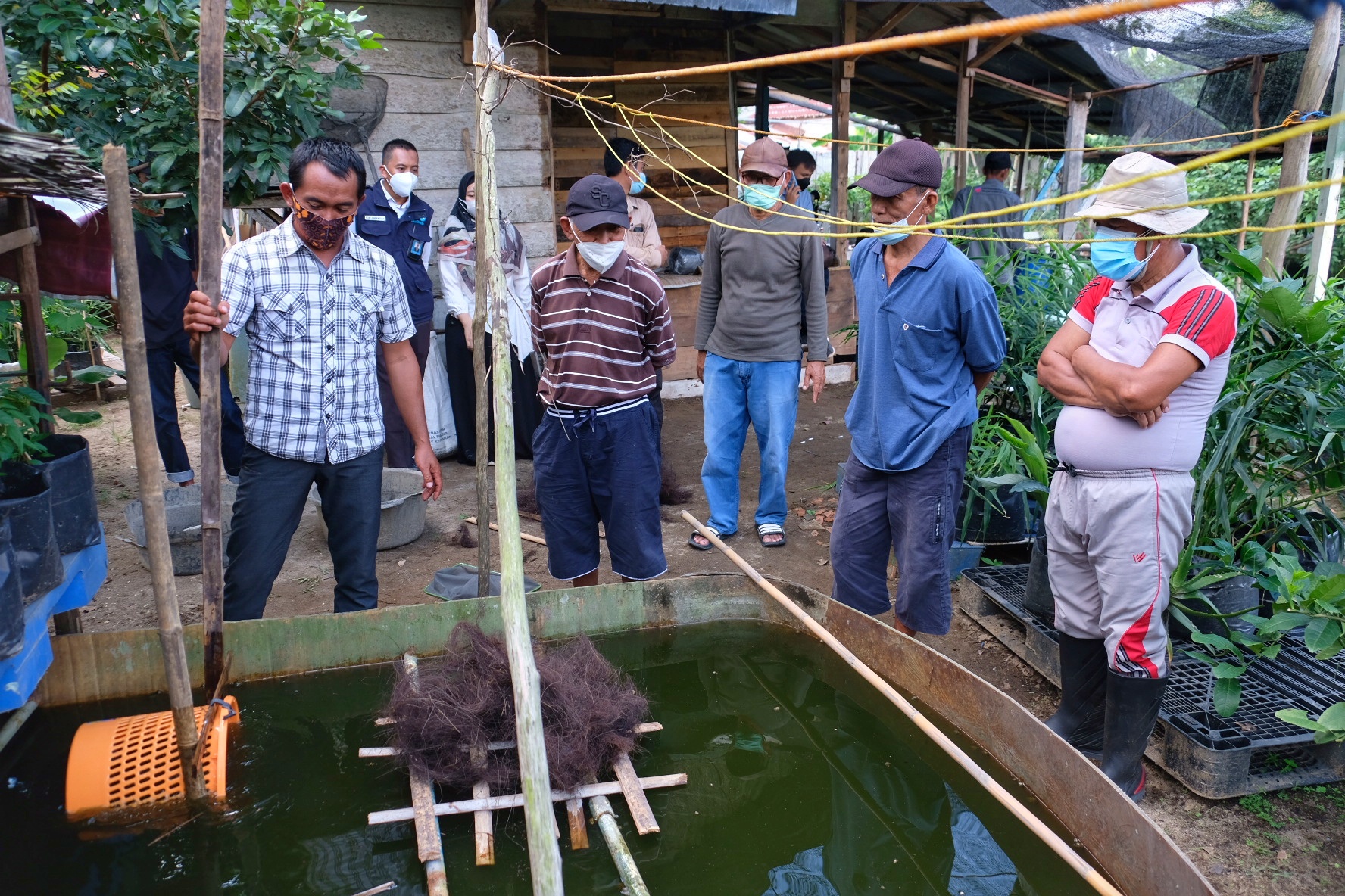 Mewujudkan Mimpi Ikan Belida Memenuhi Sungai Musi